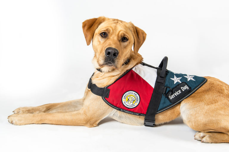 Service Dogs for America