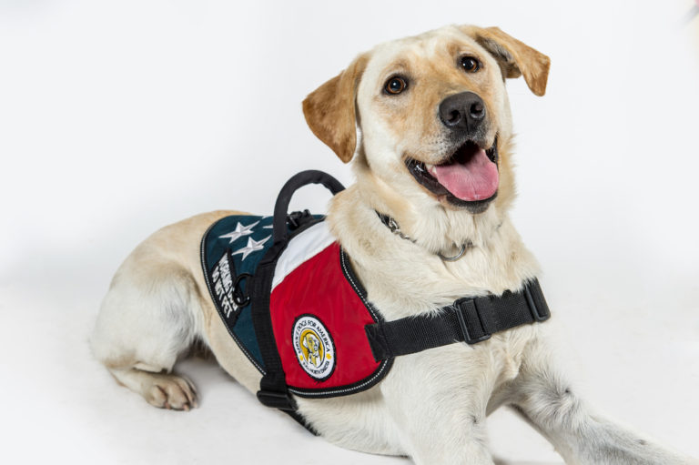 ptsd-service-dogs-for-america